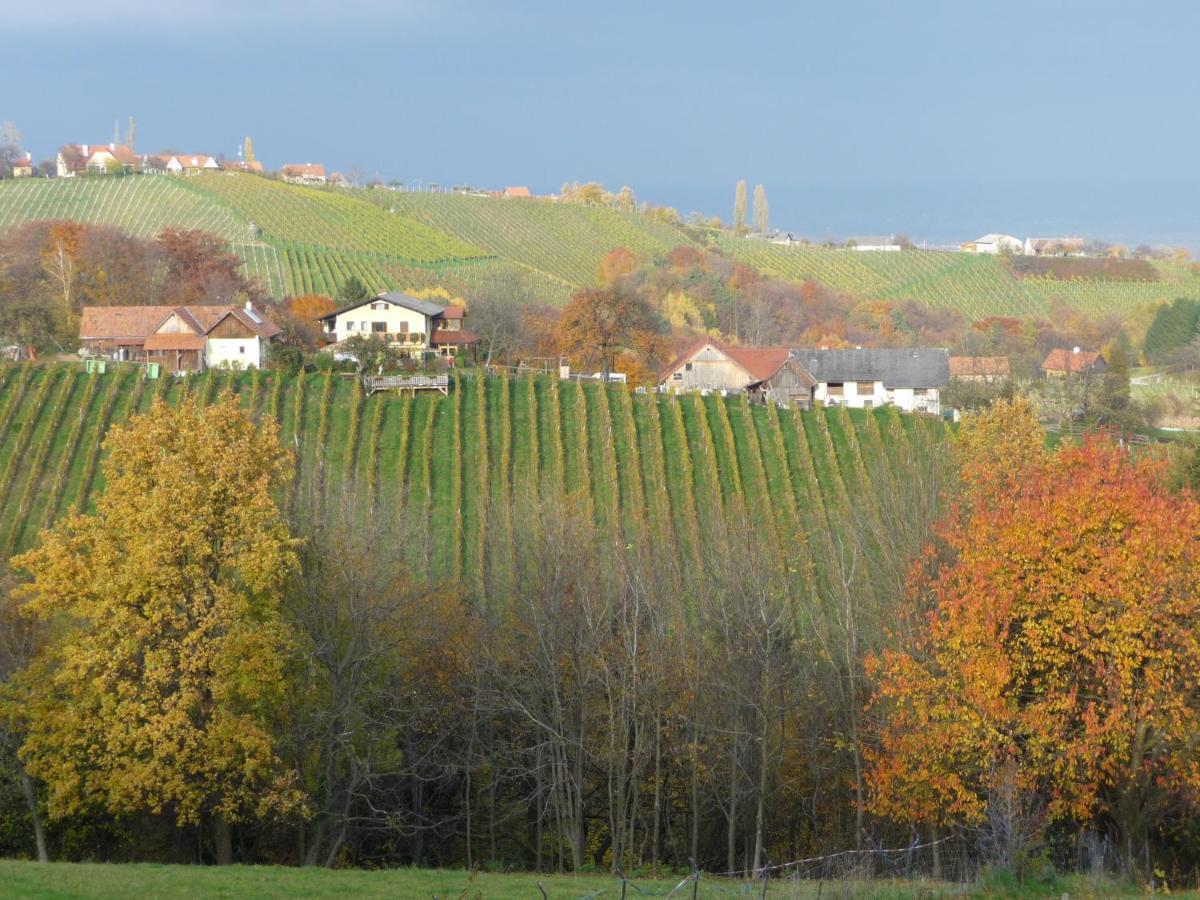 Auszeit Ferienhaus Fur 6 Personen ,Mit Grosser Terrasse Und Panoramablick, Turracher Hohe -A1 Haus 436 A Links- Extérieur photo